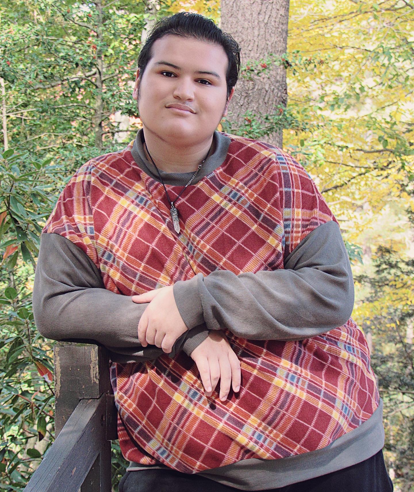 oops! no image here! verify your path???